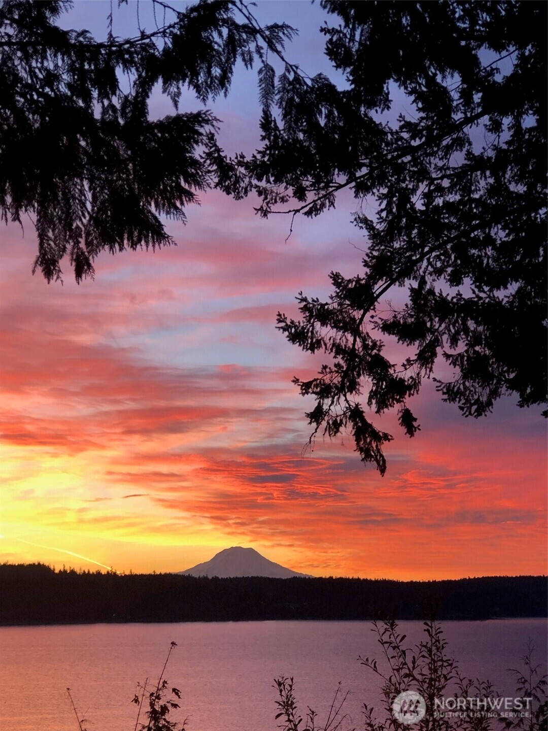 187 East Vineyard Crest Road Grapeview, WA 98546 - Photo 10 of 35