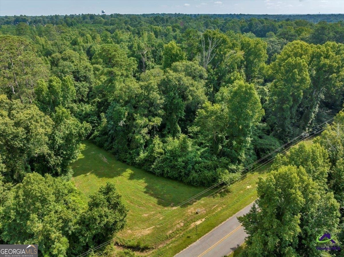 0 Frank Satterfield Road Perry, GA 31069 - Photo 1 of 1 a view of a lush green forest with a street