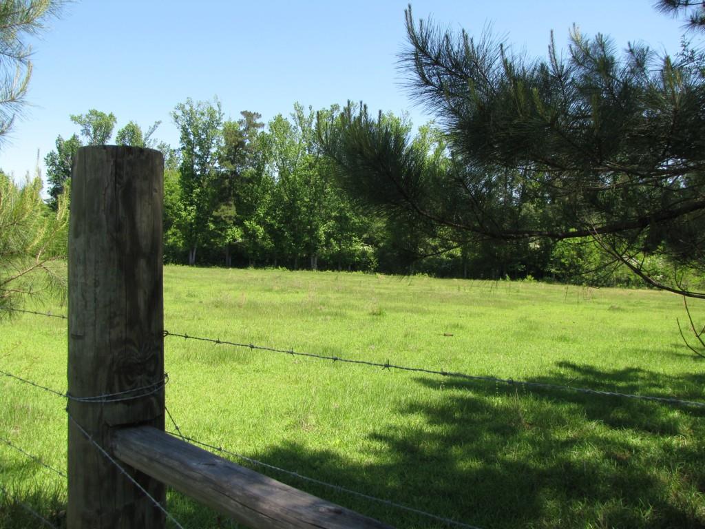 437 / Barcelona Road Covington, LA 70435 - Photo 5 of 21 Gallery Image 5