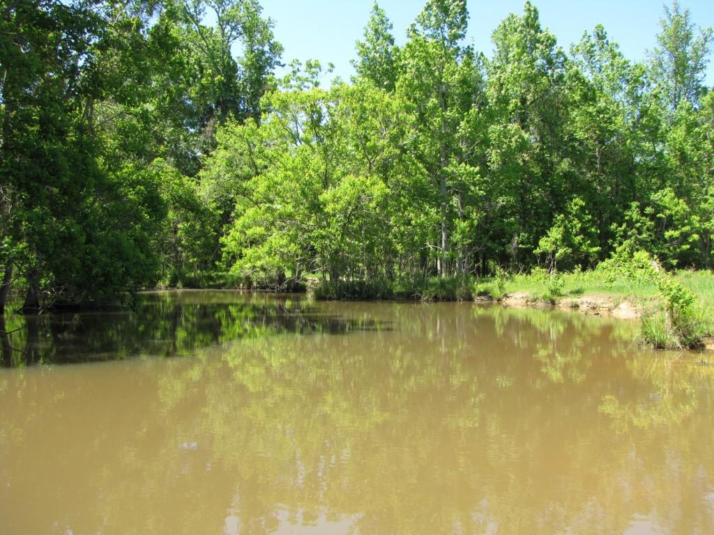 437 / Barcelona Road Covington, LA 70435 - Photo 8 of 21 Gallery Image 8