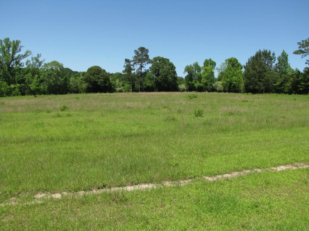 437 / Barcelona Road Covington, LA 70435 - Photo 10 of 21 Gallery Image 10
