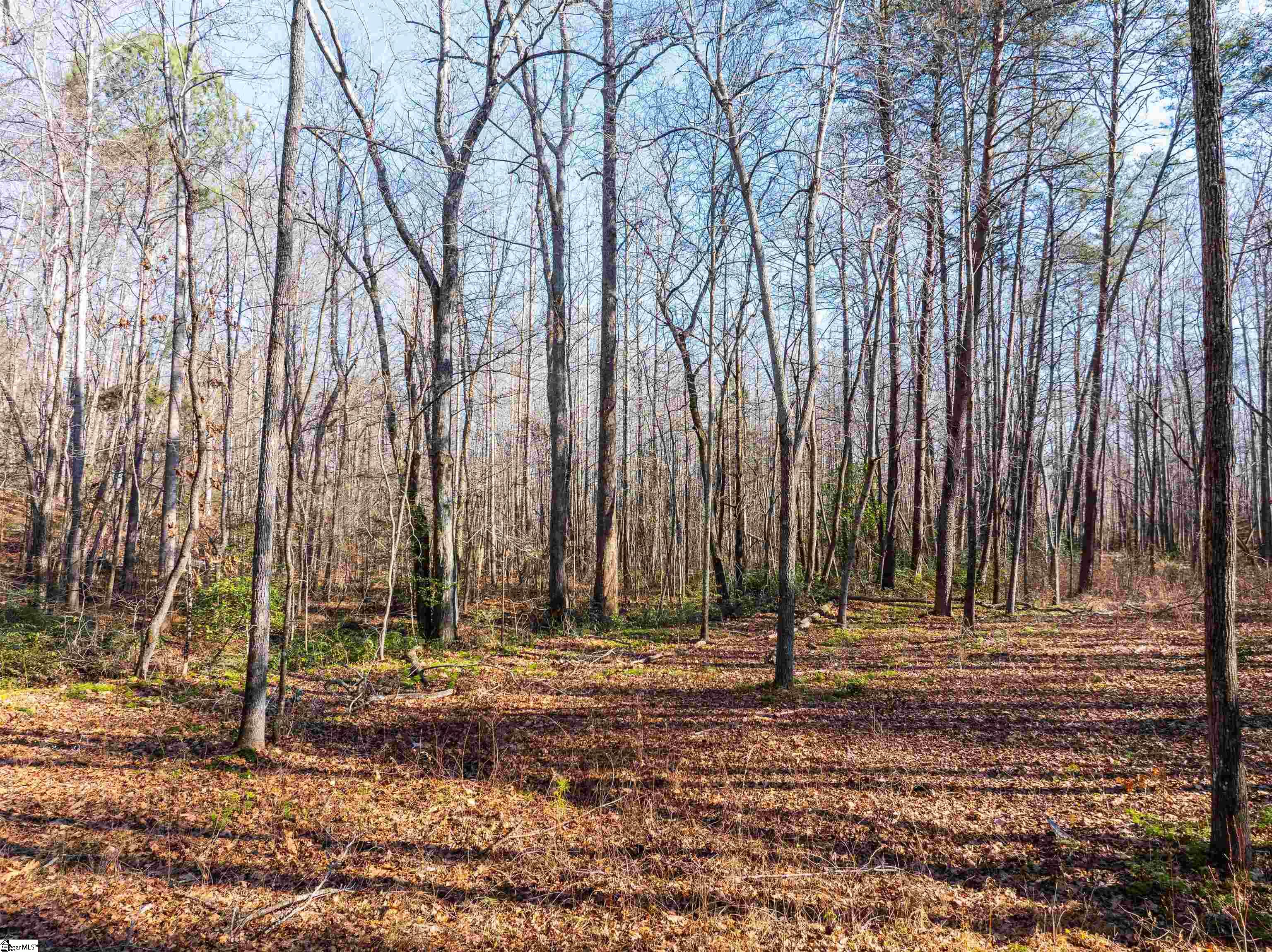 0 Howe Road, Unit LOT B Greer, SC 29651 - Photo 11 of 17