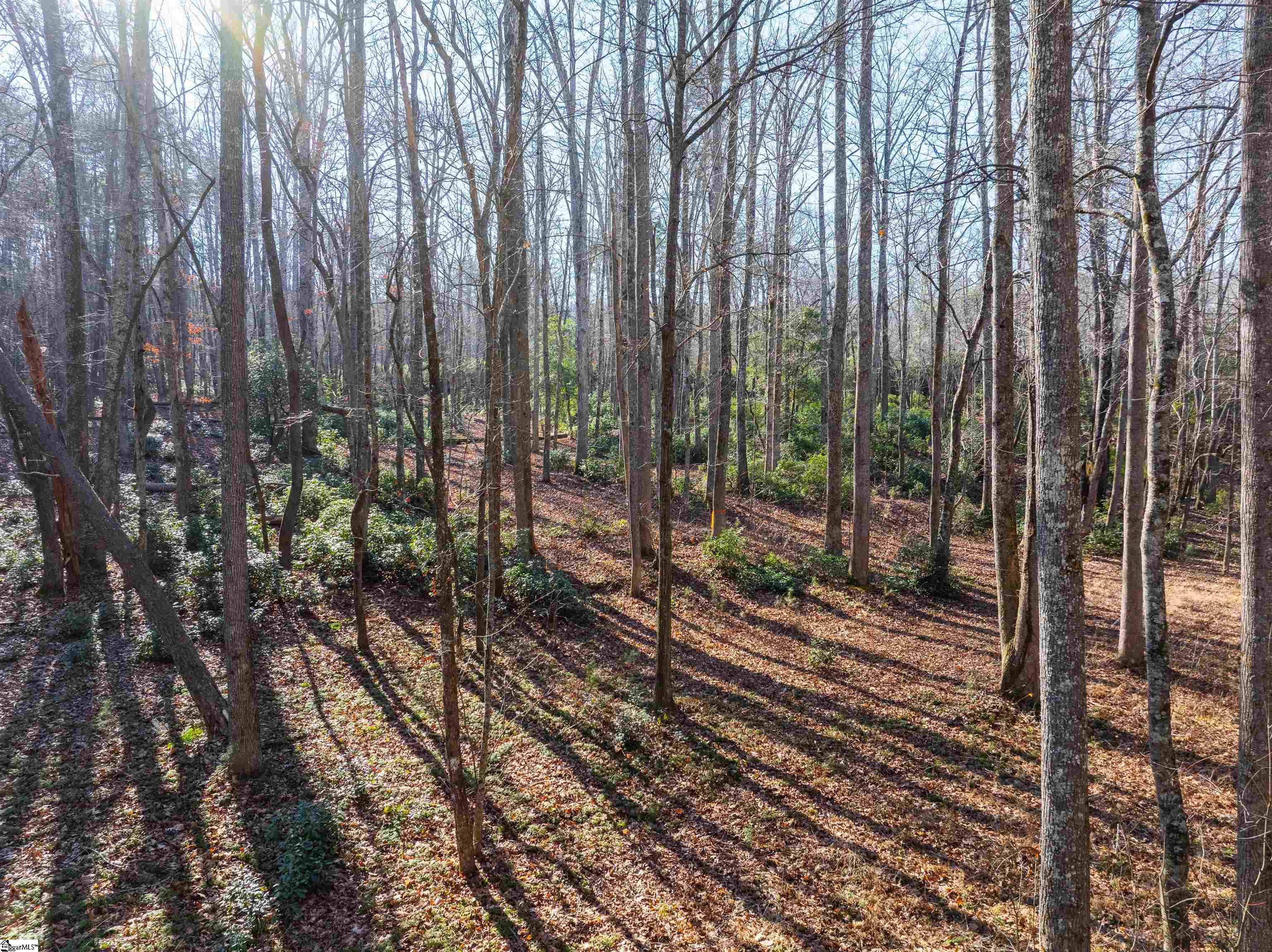 0 Howe Road, Unit LOT B Greer, SC 29651 - Photo 12 of 17