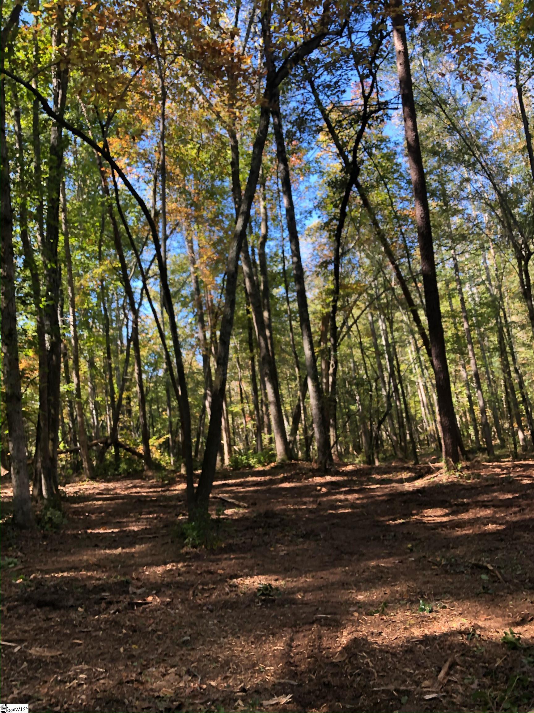 0 Howe Road, Unit LOT B Greer, SC 29651 - Photo 14 of 17