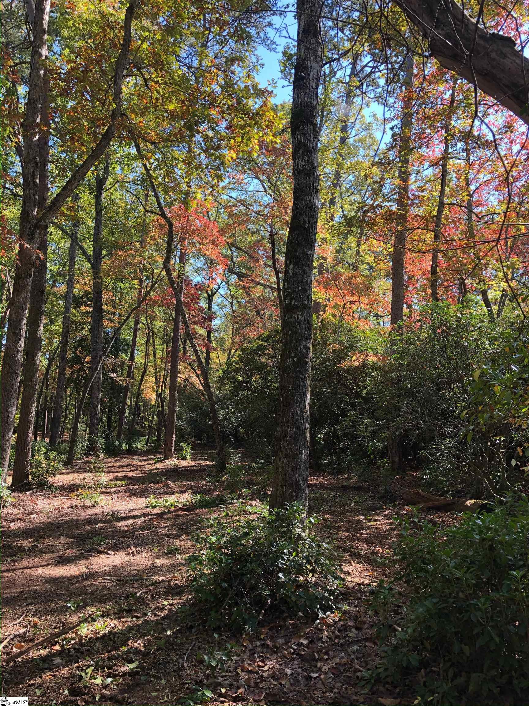 0 Howe Road, Unit LOT B Greer, SC 29651 - Photo 16 of 17