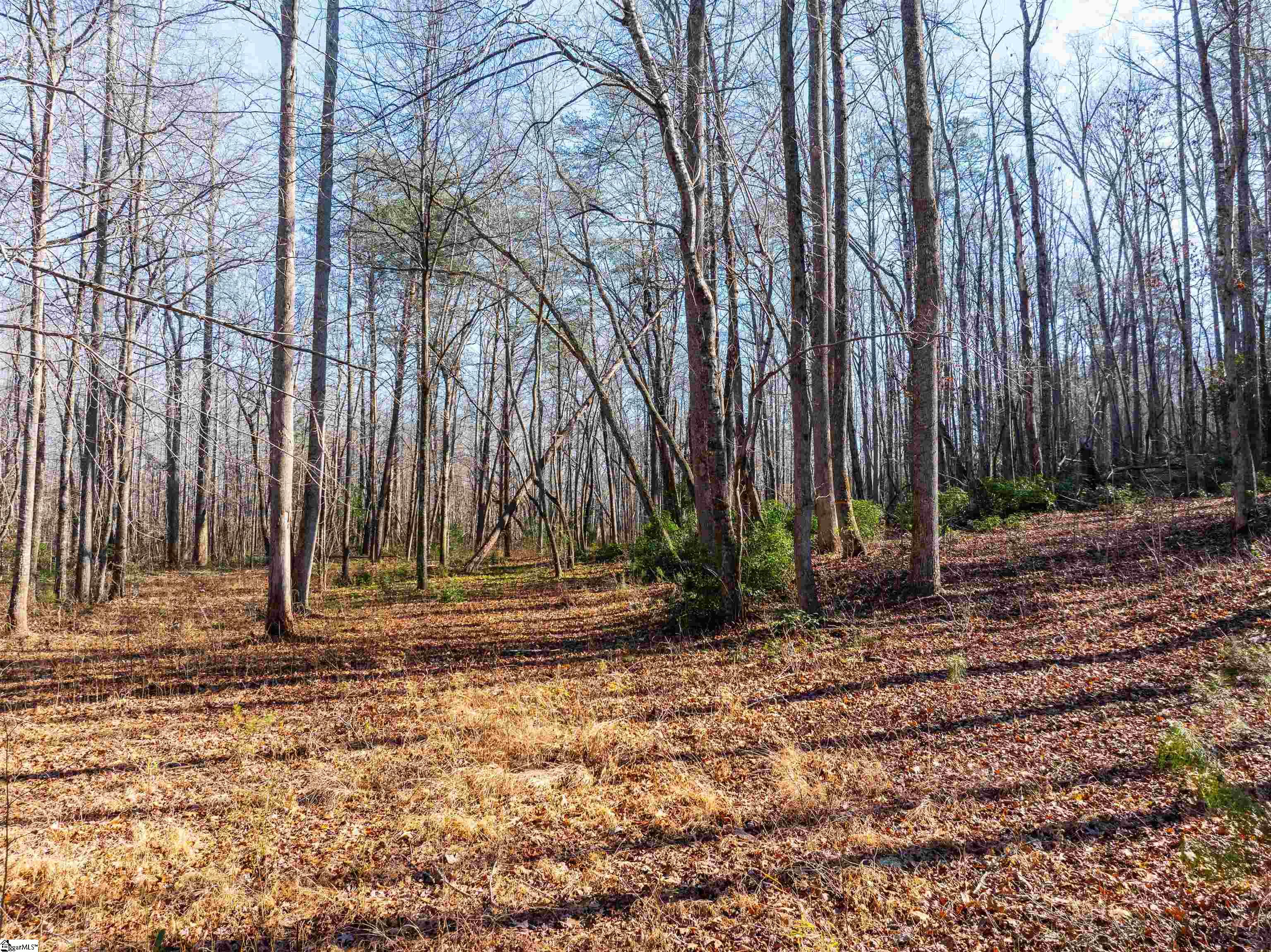 0 Howe Road, Unit LOT B Greer, SC 29651 - Photo 2 of 17