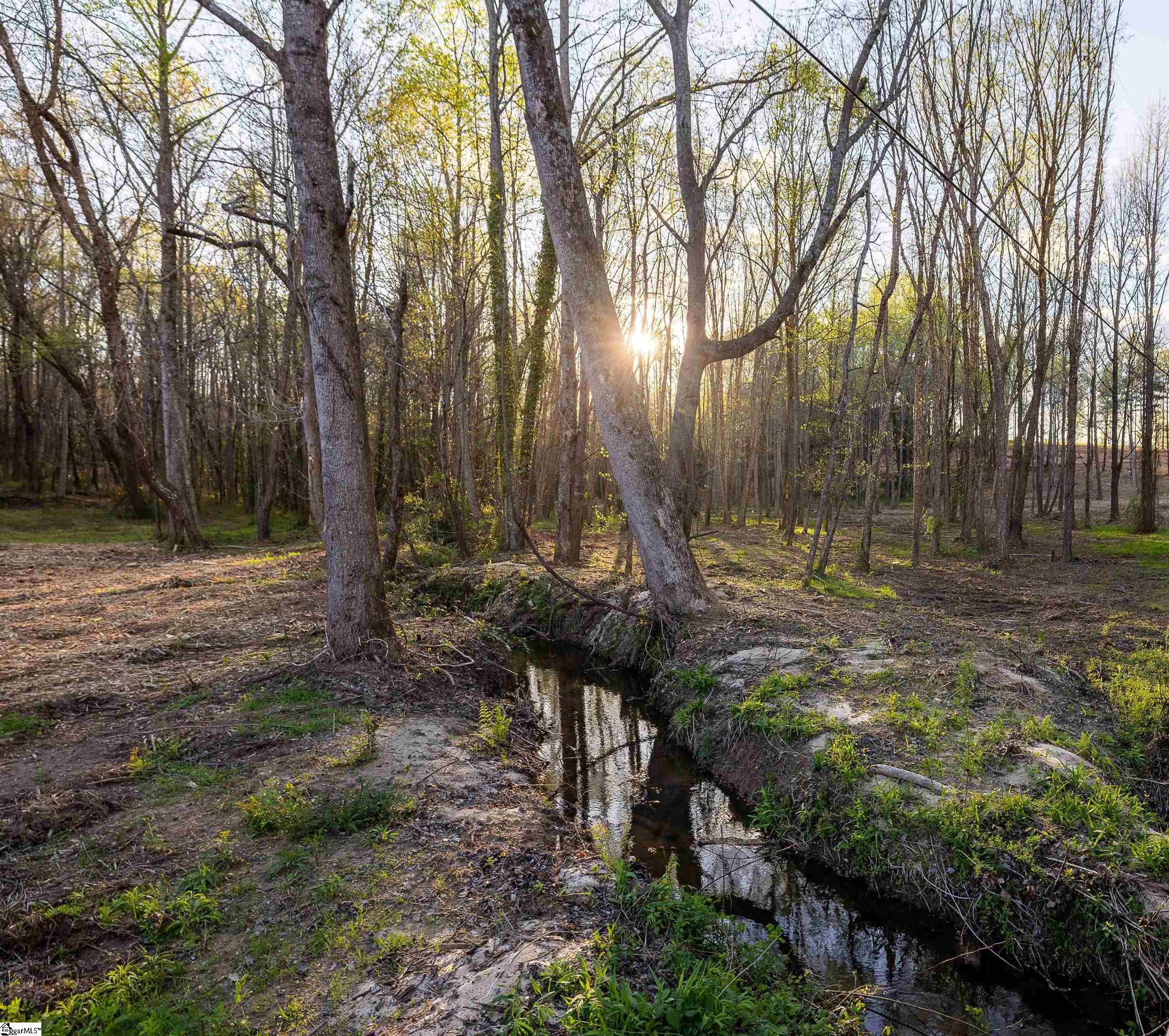 0 Howe Road, Unit LOT B Greer, SC 29651 - Photo 5 of 17