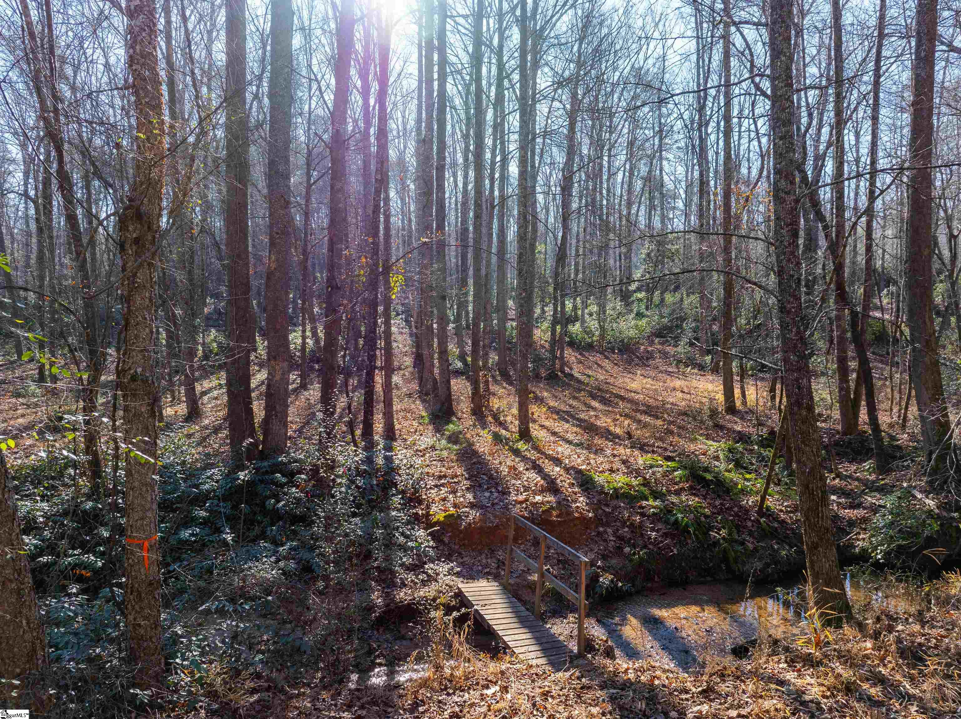 0 Howe Road, Unit LOT B Greer, SC 29651 - Photo 6 of 17