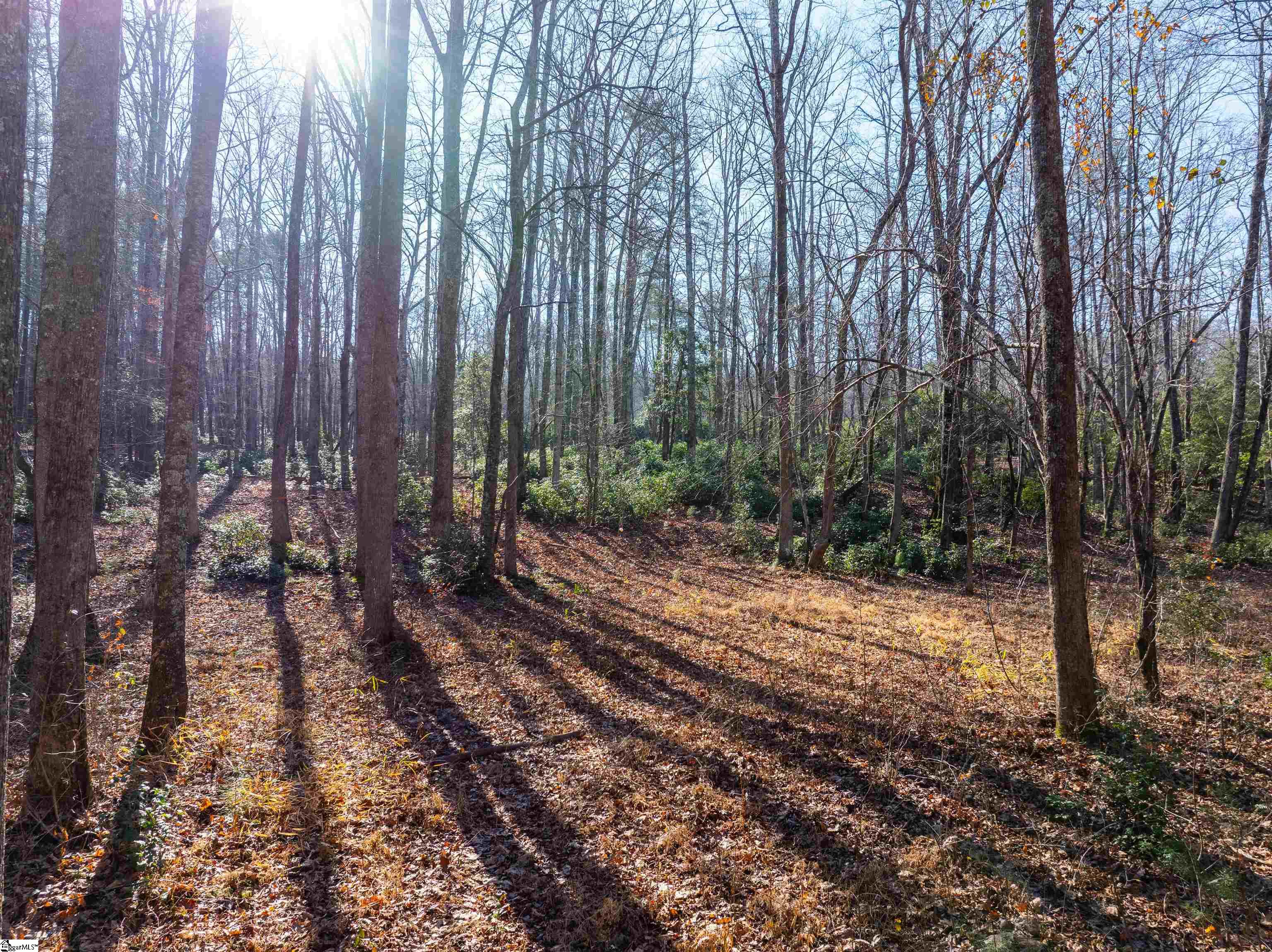 0 Howe Road, Unit LOT B Greer, SC 29651 - Photo 9 of 17