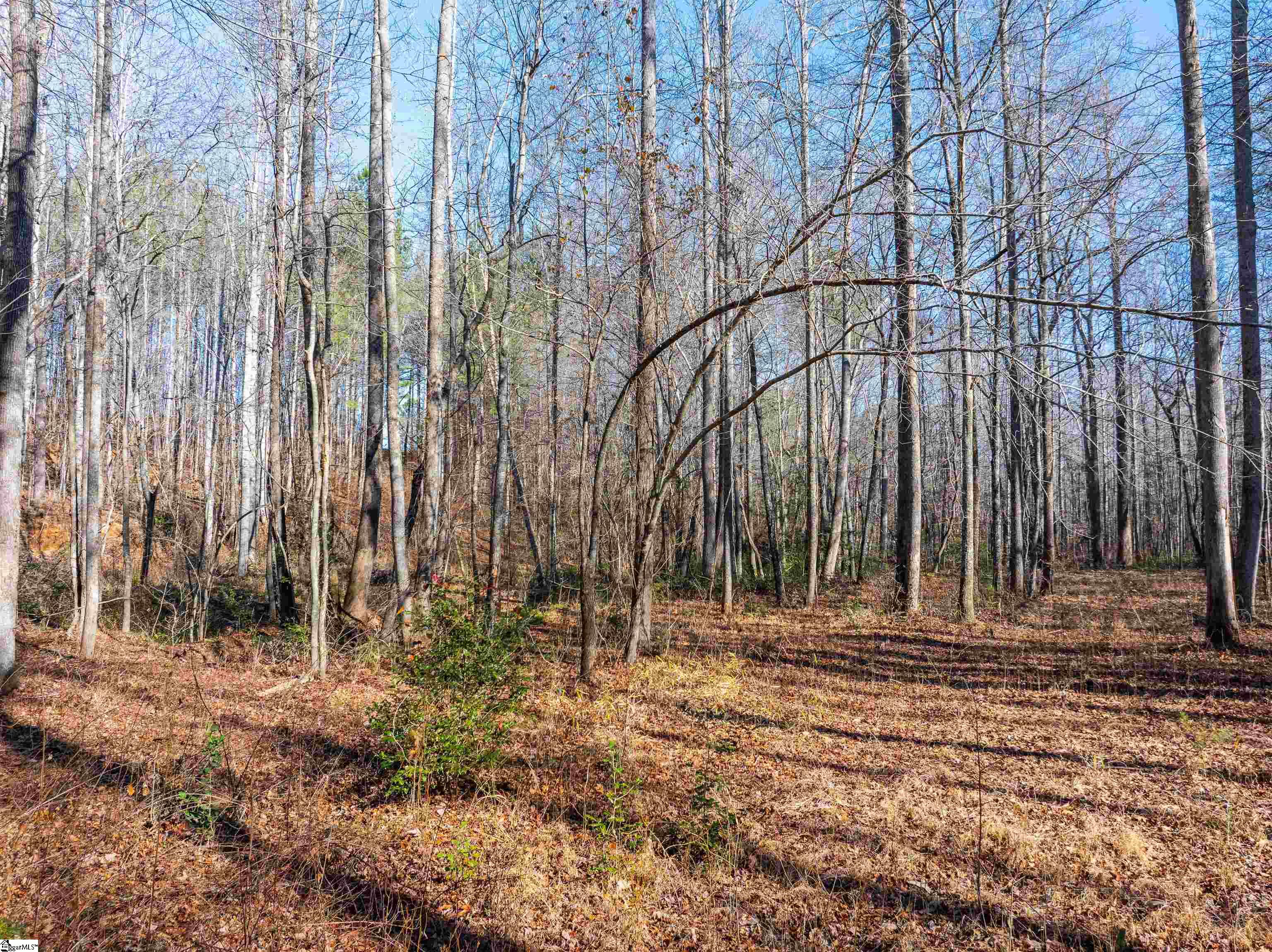 0 Howe Road, Unit LOT B Greer, SC 29651 - Photo 10 of 17