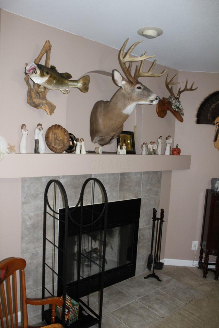 25 Whites Road Nelsonville, OH 45764 - Photo 21 of 42 Gallery Image 21