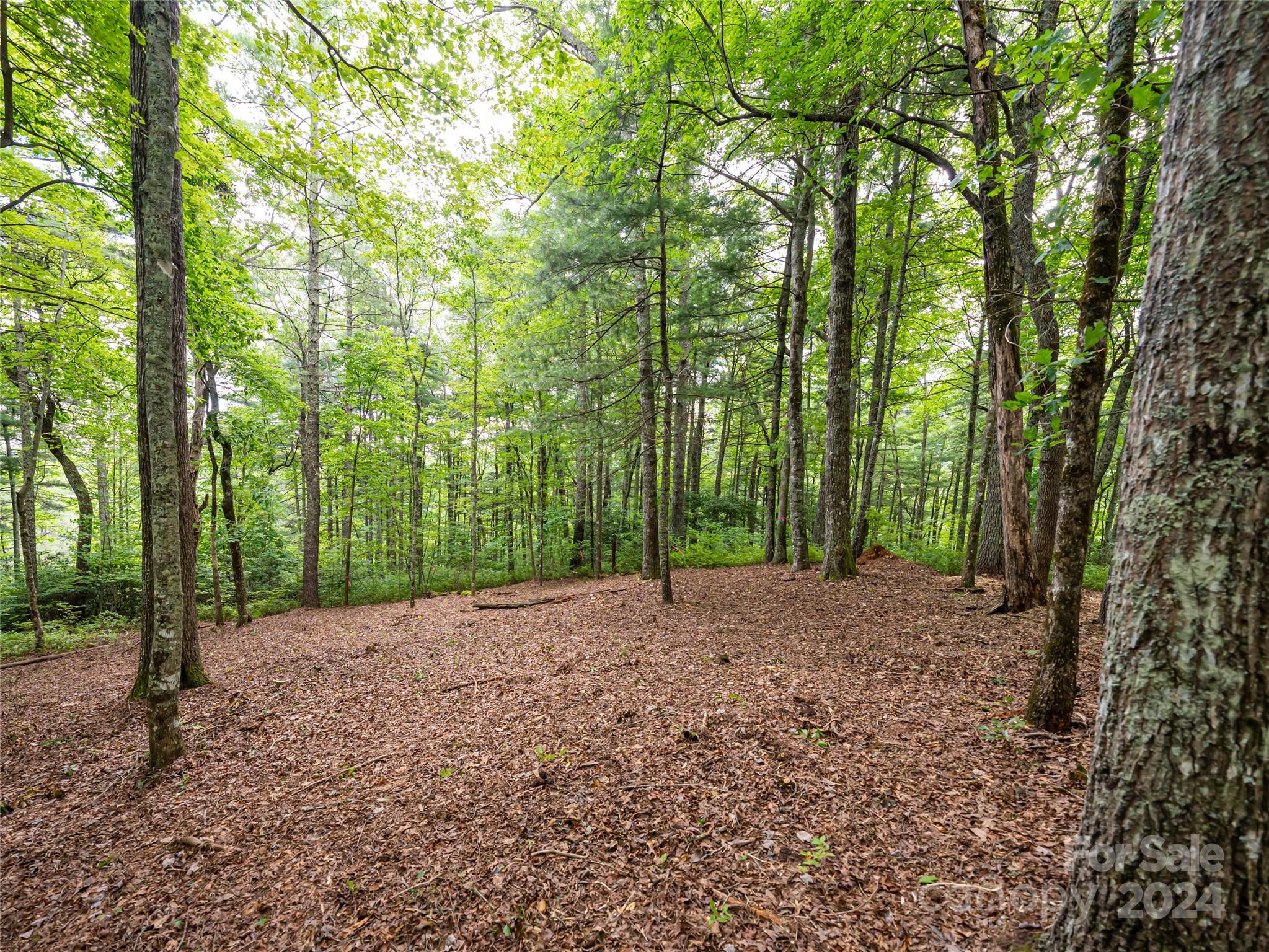99999 Panther Ridge Road, Unit 2R Lake Toxaway, NC 28747 - Photo 11 of 36 Gallery Image 11