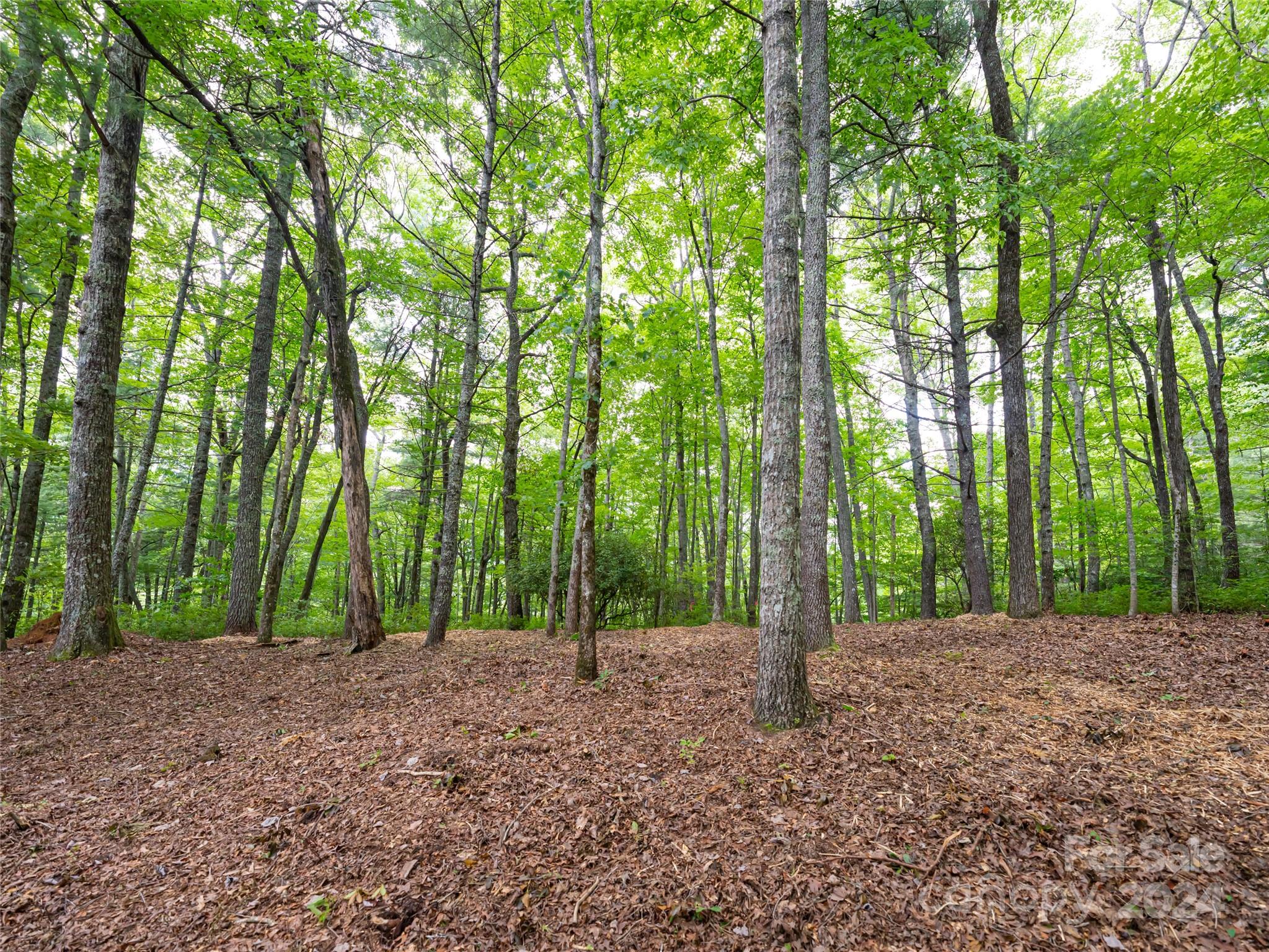 99999 Panther Ridge Road, Unit 2R Lake Toxaway, NC 28747 - Photo 12 of 36 Gallery Image 12
