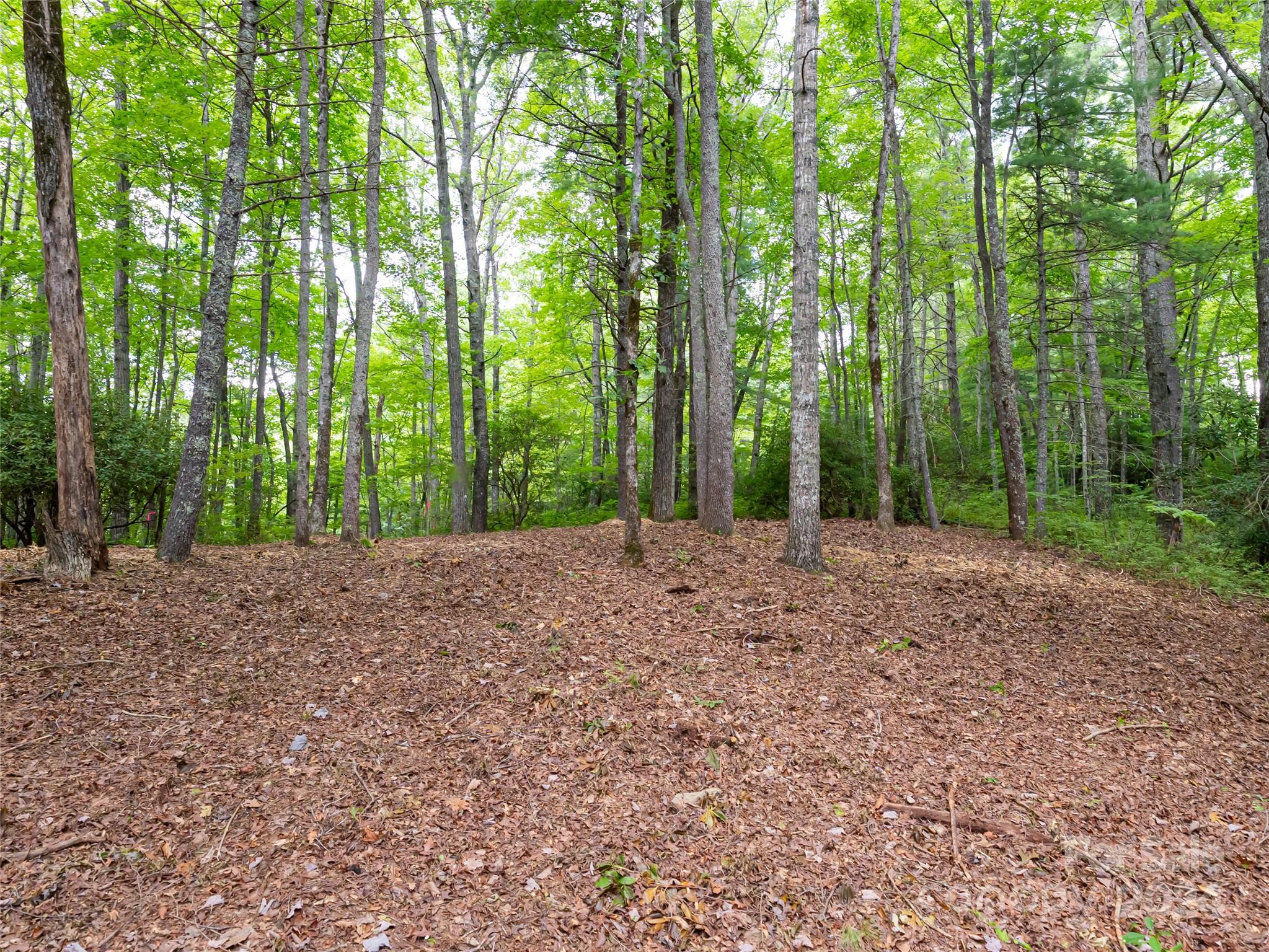 99999 Panther Ridge Road, Unit 2R Lake Toxaway, NC 28747 - Photo 14 of 36 Gallery Image 14