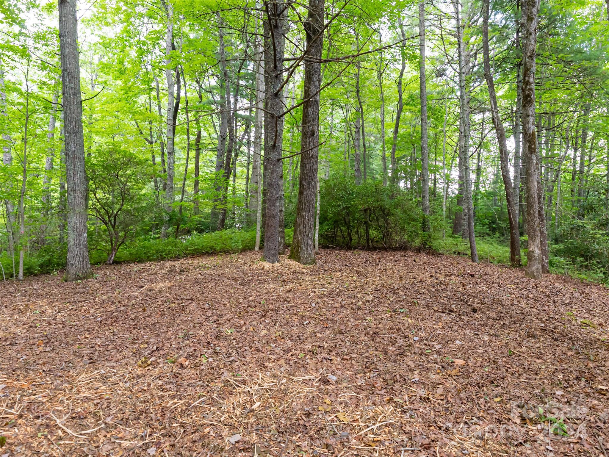 99999 Panther Ridge Road, Unit 2R Lake Toxaway, NC 28747 - Photo 15 of 36 Gallery Image 15