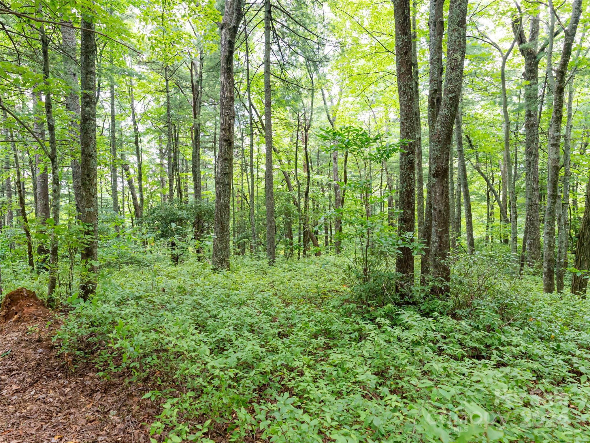 99999 Panther Ridge Road, Unit 2R Lake Toxaway, NC 28747 - Photo 17 of 36 Gallery Image 17