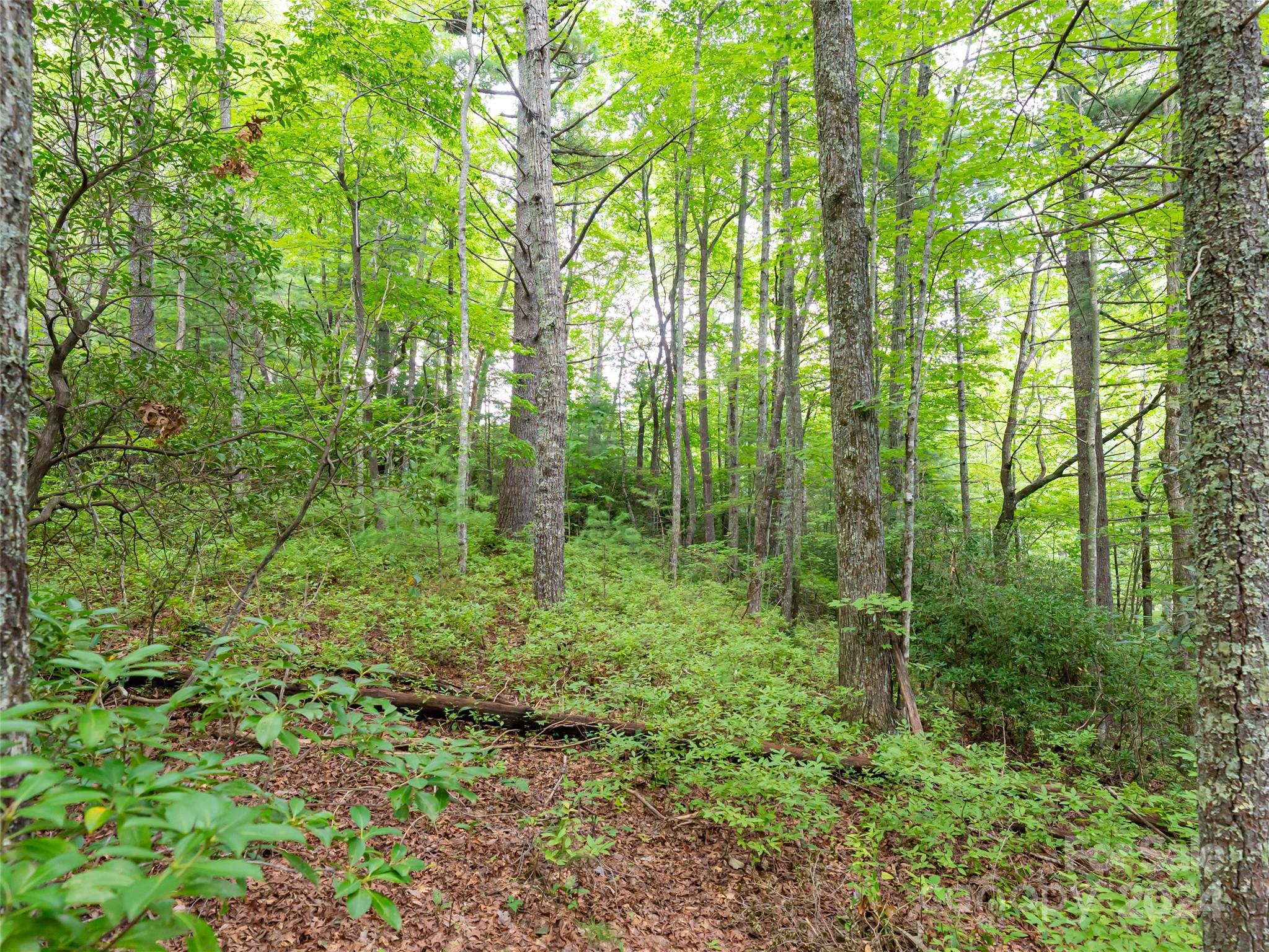 99999 Panther Ridge Road, Unit 2R Lake Toxaway, NC 28747 - Photo 18 of 36 Gallery Image 18