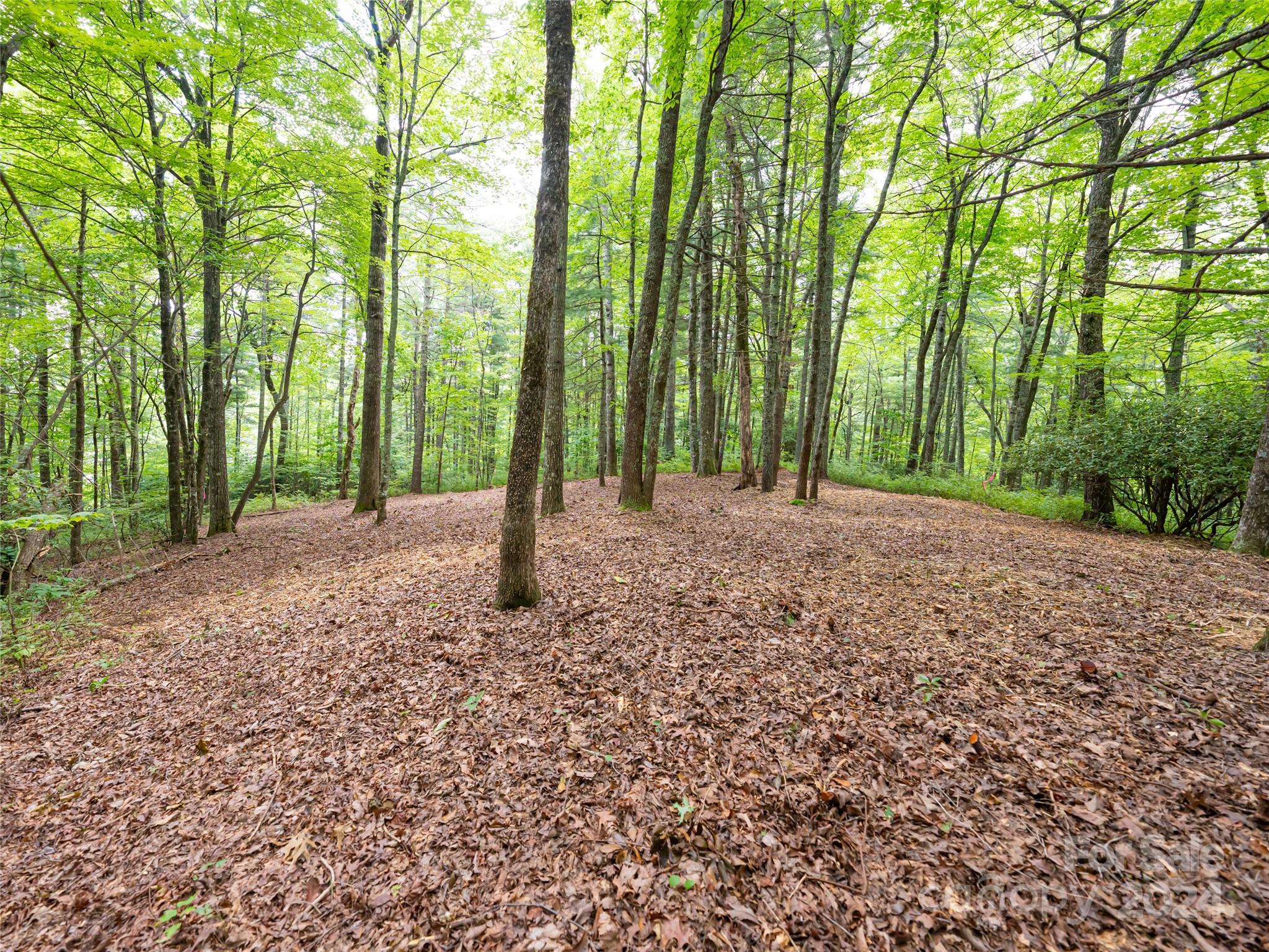 99999 Panther Ridge Road, Unit 2R Lake Toxaway, NC 28747 - Photo 19 of 36 Gallery Image 19
