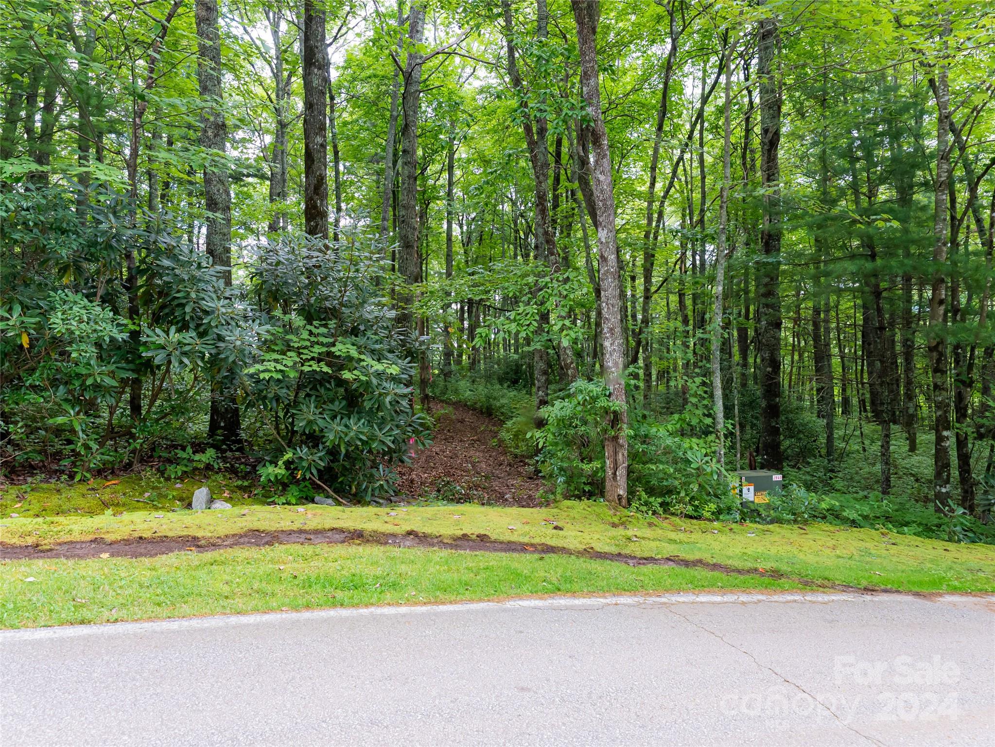 99999 Panther Ridge Road, Unit 2R Lake Toxaway, NC 28747 - Photo 21 of 36 Gallery Image 21