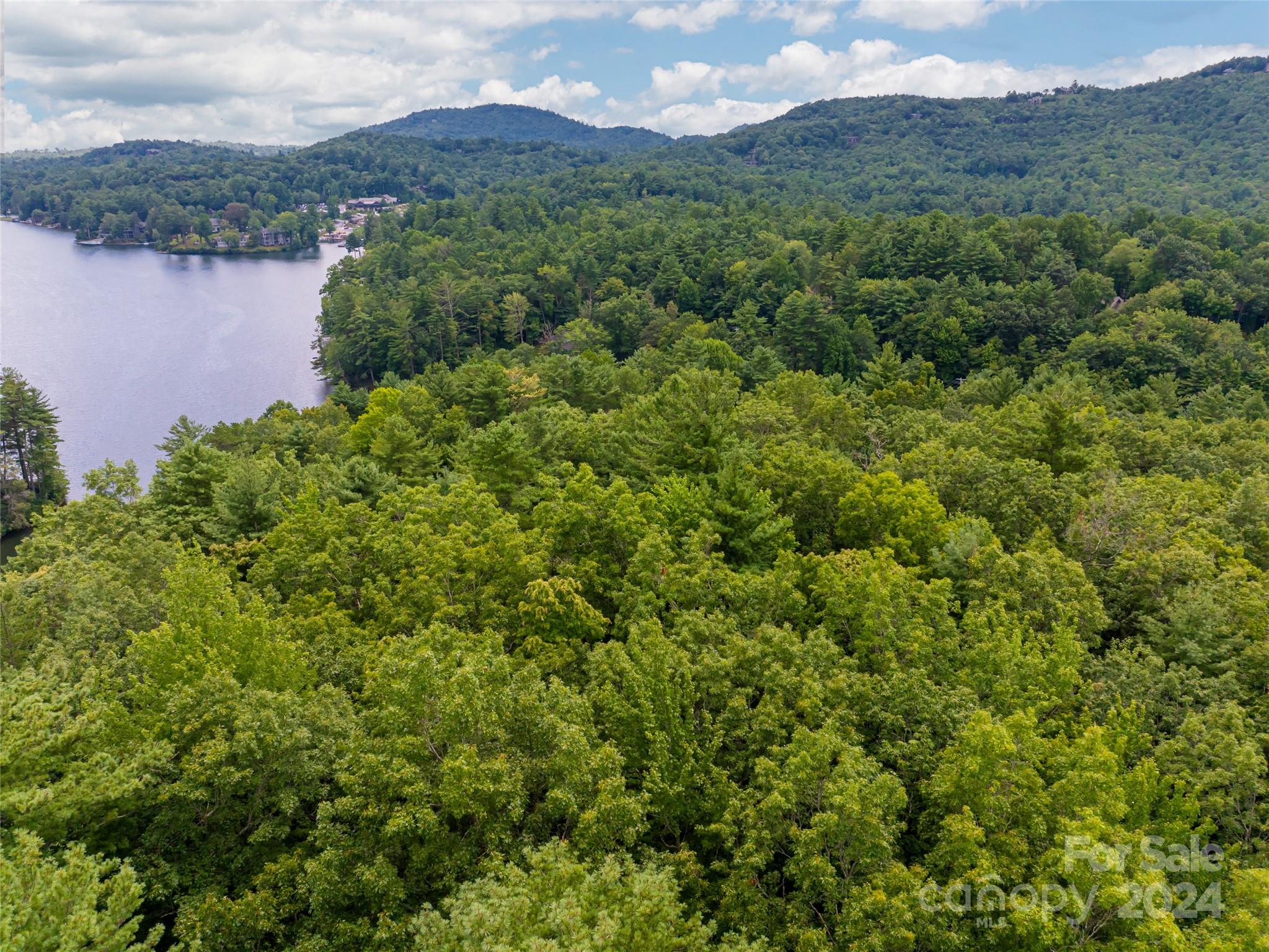 99999 Panther Ridge Road, Unit 2R Lake Toxaway, NC 28747 - Photo 26 of 36 Gallery Image 26
