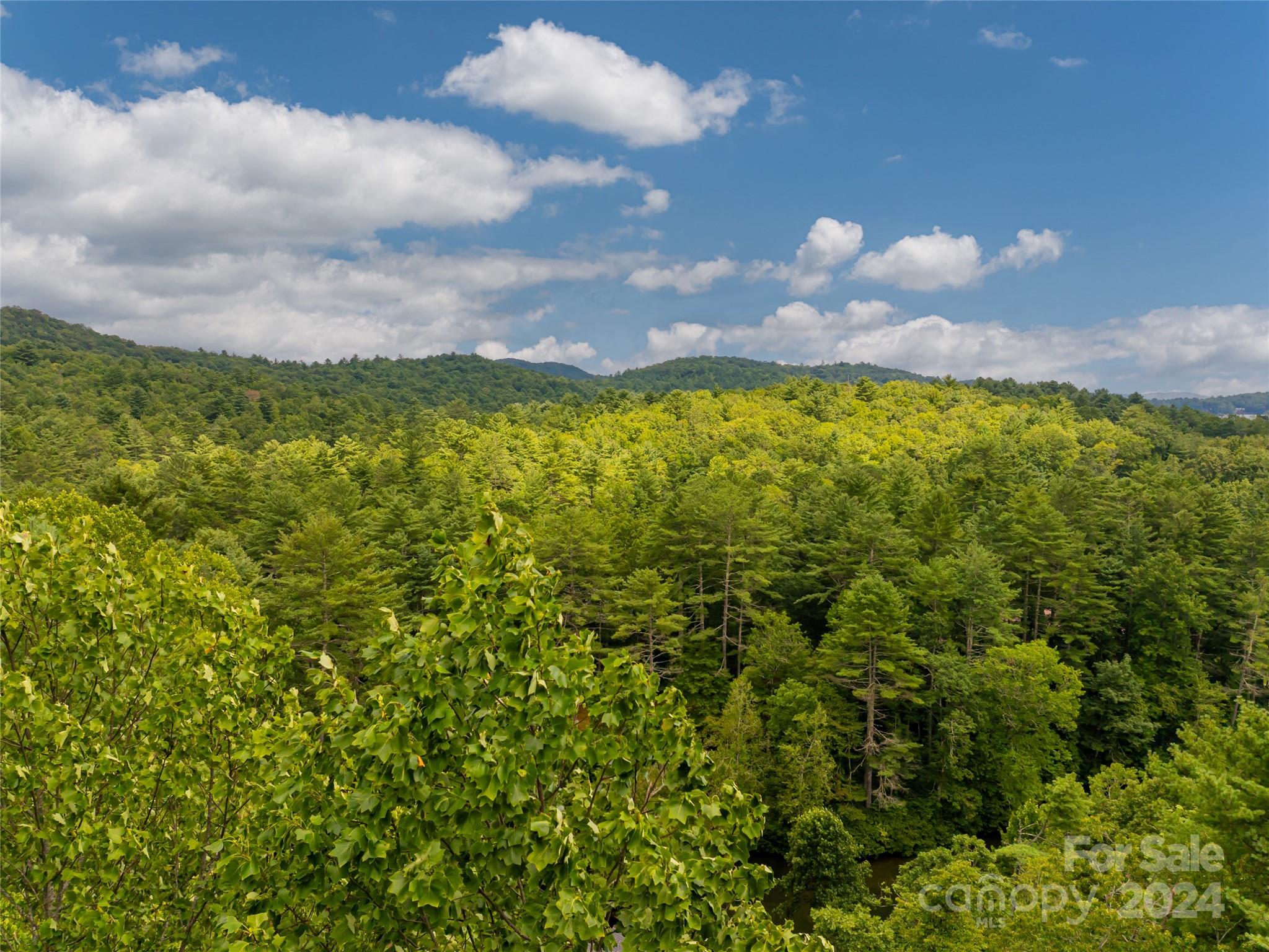 99999 Panther Ridge Road, Unit 2R Lake Toxaway, NC 28747 - Photo 30 of 36 Gallery Image 30
