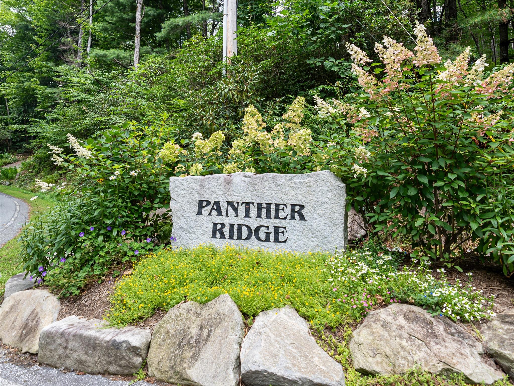99999 Panther Ridge Road, Unit 2R Lake Toxaway, NC 28747 - Photo 36 of 36 Gallery Image 36