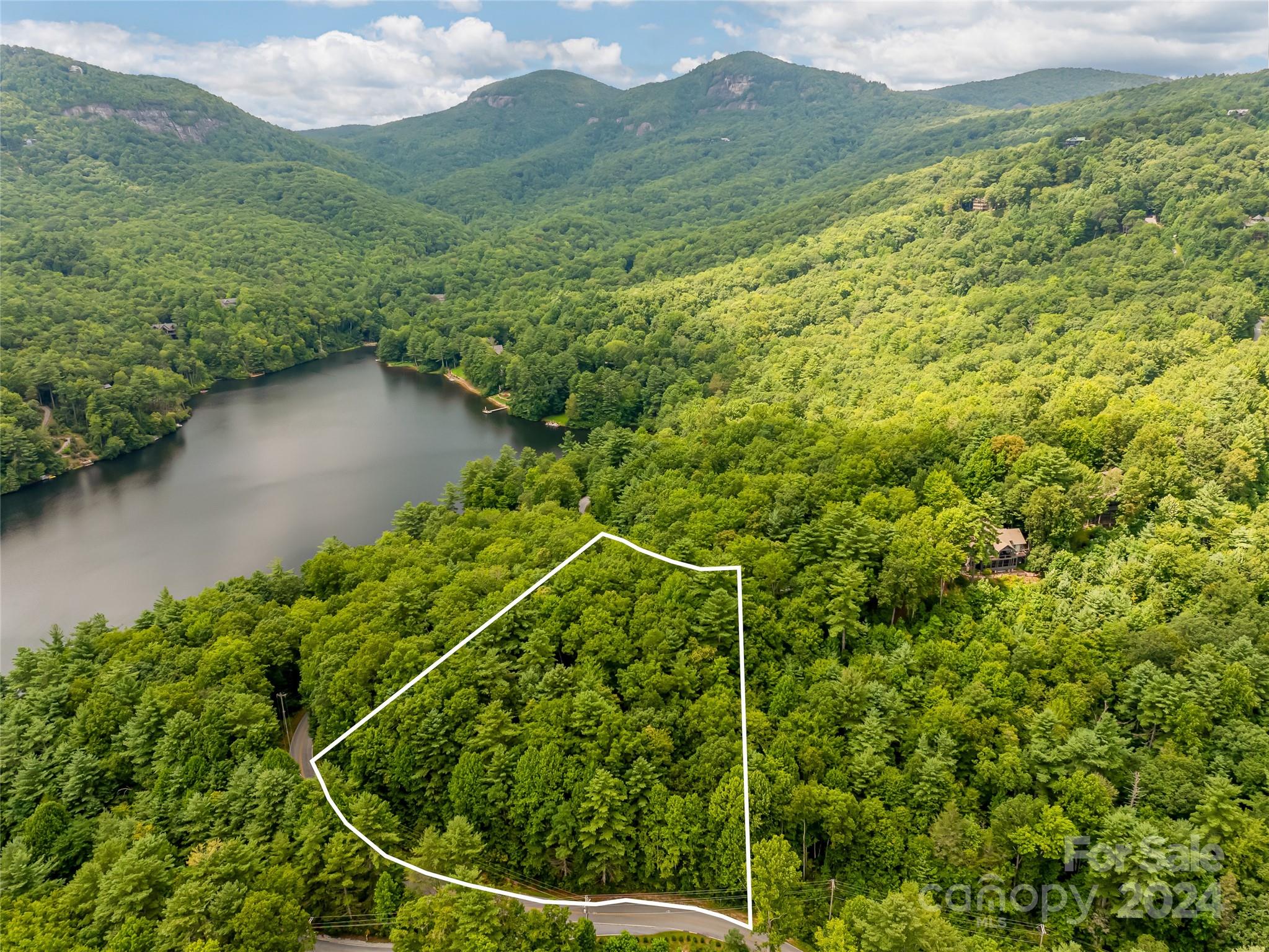 99999 Panther Ridge Road, Unit 2R Lake Toxaway, NC 28747 - Photo 4 of 36 Gallery Image 4