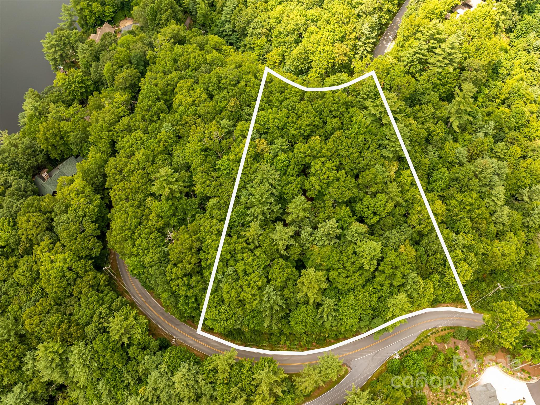 99999 Panther Ridge Road, Unit 2R Lake Toxaway, NC 28747 - Photo 5 of 36 Gallery Image 5