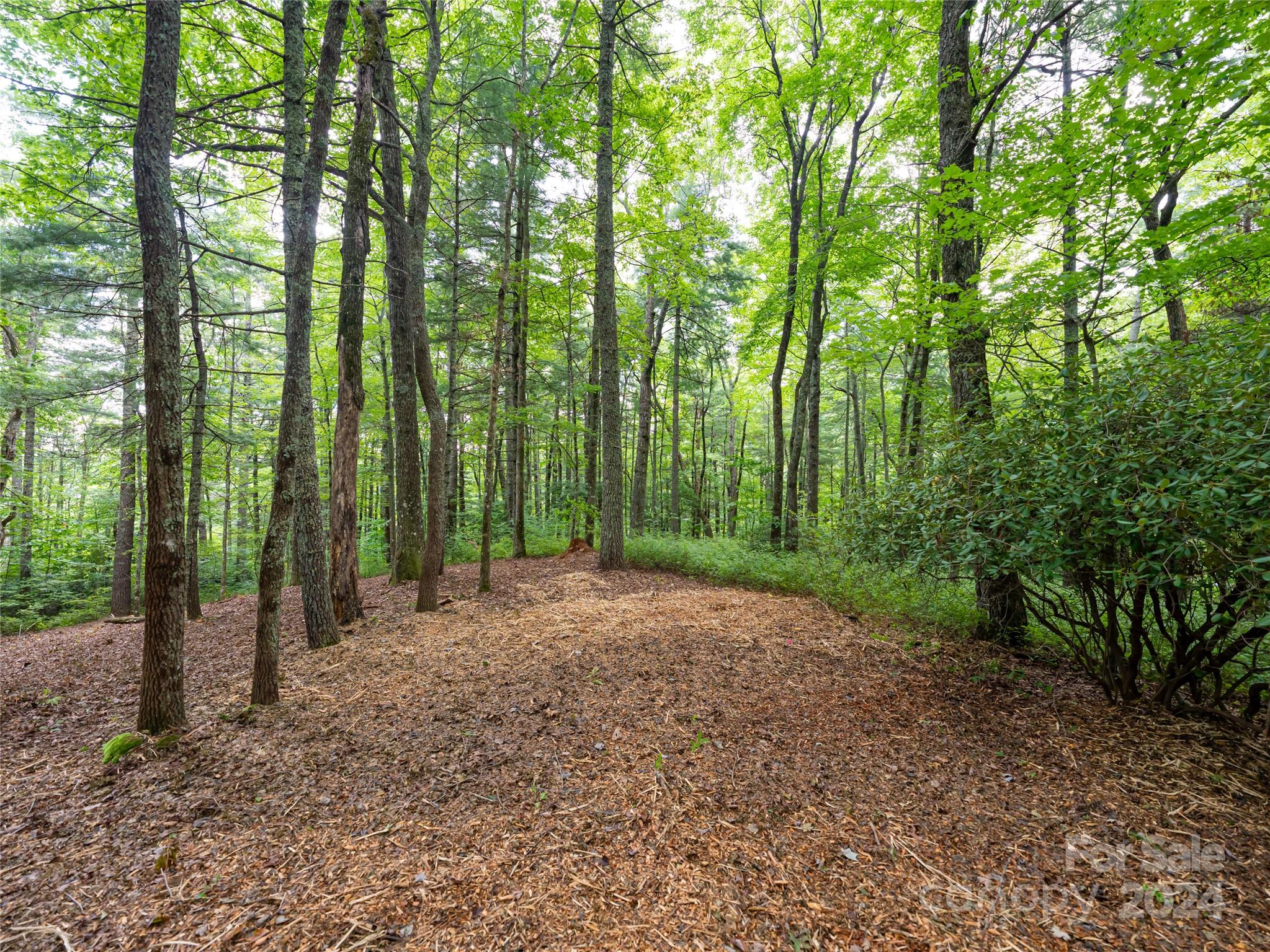 99999 Panther Ridge Road, Unit 2R Lake Toxaway, NC 28747 - Photo 8 of 36 Gallery Image 8