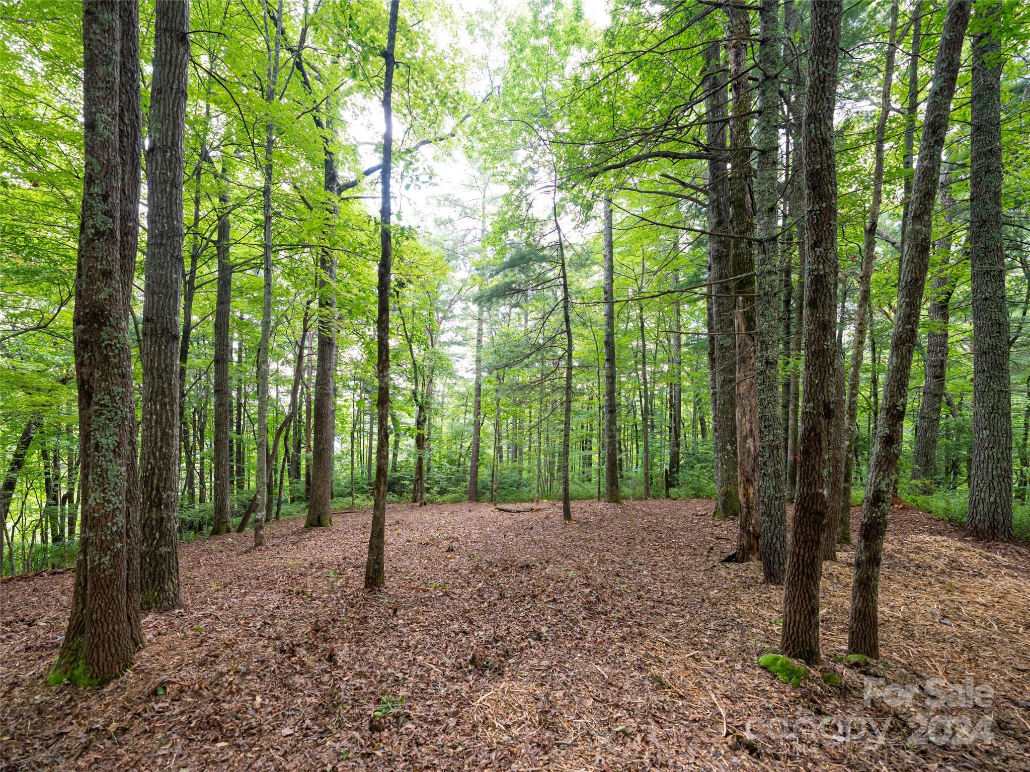 99999 Panther Ridge Road, Unit 2R Lake Toxaway, NC 28747 - Photo 9 of 36 Gallery Image 9