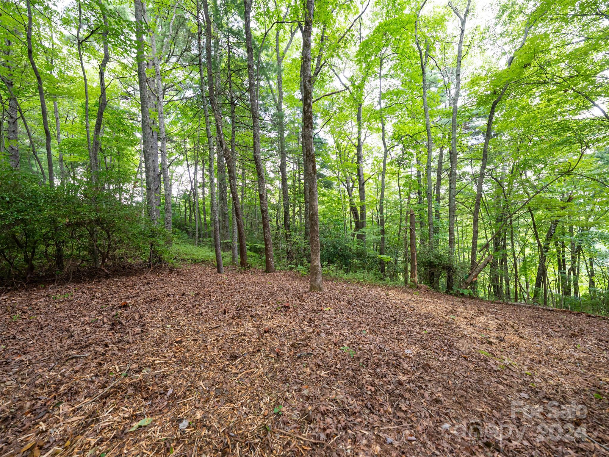 99999 Panther Ridge Road, Unit 2R Lake Toxaway, NC 28747 - Photo 10 of 36 Gallery Image 10