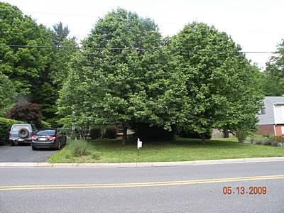 5948 Merriman Road Roanoke, VA 24018 - Photo 3 of 16 View from street