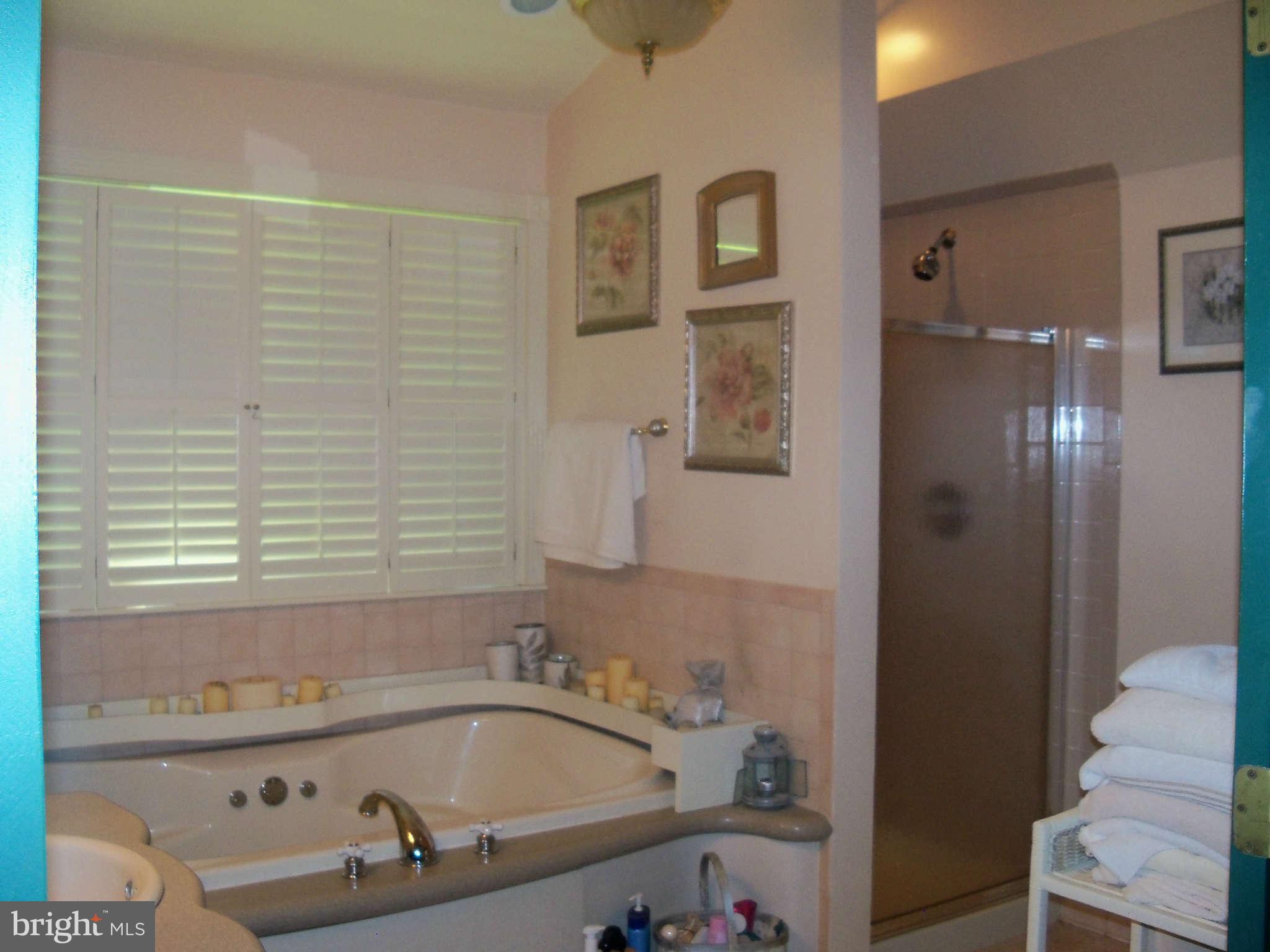 117 Fort Hoyle Road Joppa, MD 21085 - Photo 20 of 29 Bath Master