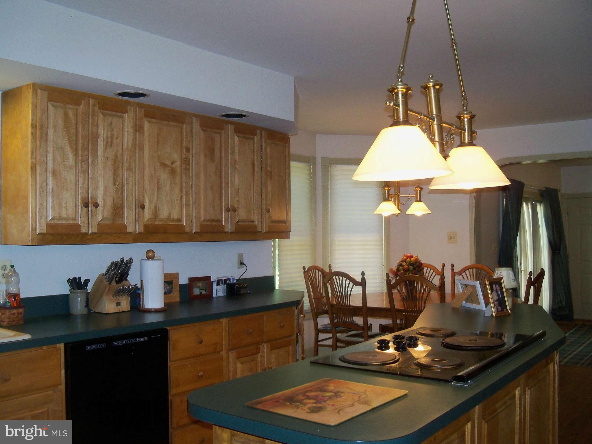 117 Fort Hoyle Road Joppa, MD 21085 - Photo 8 of 29 Kitchen