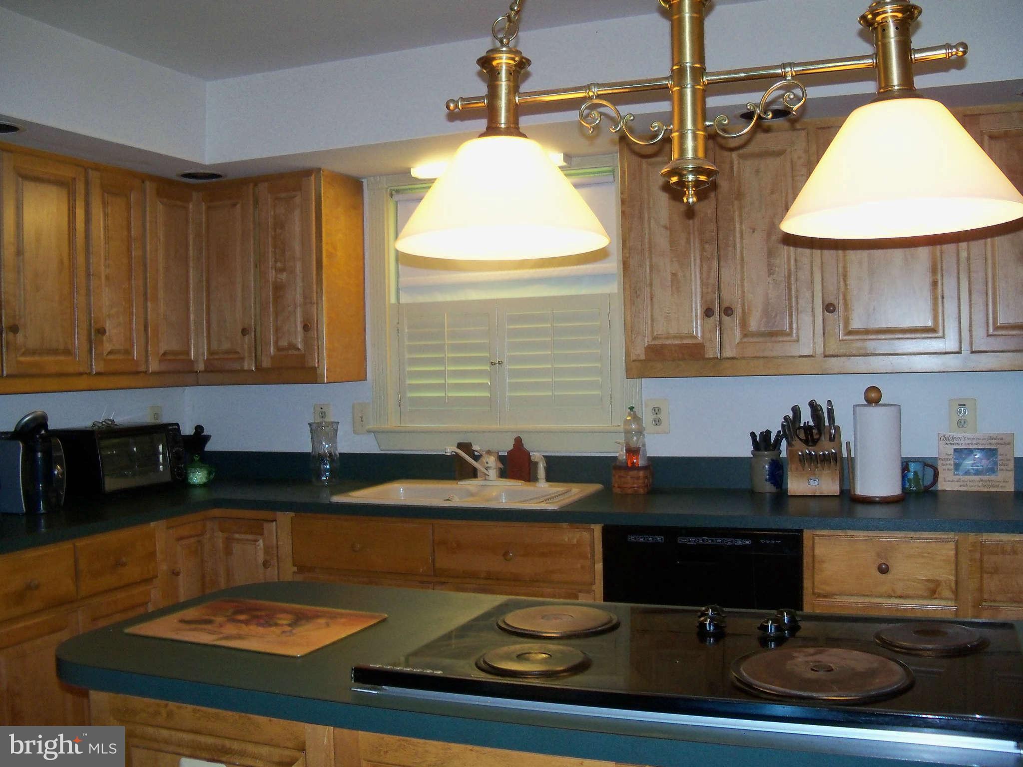 117 Fort Hoyle Road Joppa, MD 21085 - Photo 9 of 29 Kitchen