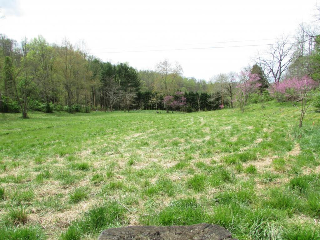 228 Short Coal Chute Road Elizabethton, TN 37643 - Photo 1 of 16 Photo 1