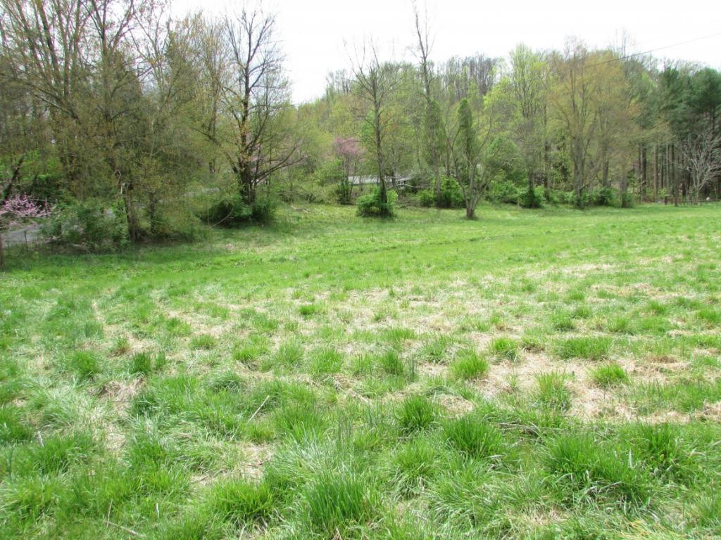 228 Short Coal Chute Road Elizabethton, TN 37643 - Photo 11 of 16 Photo 11