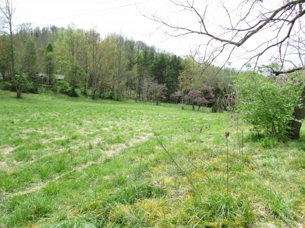 228 Short Coal Chute Road Elizabethton, TN 37643 - Photo 12 of 16 Photo 12