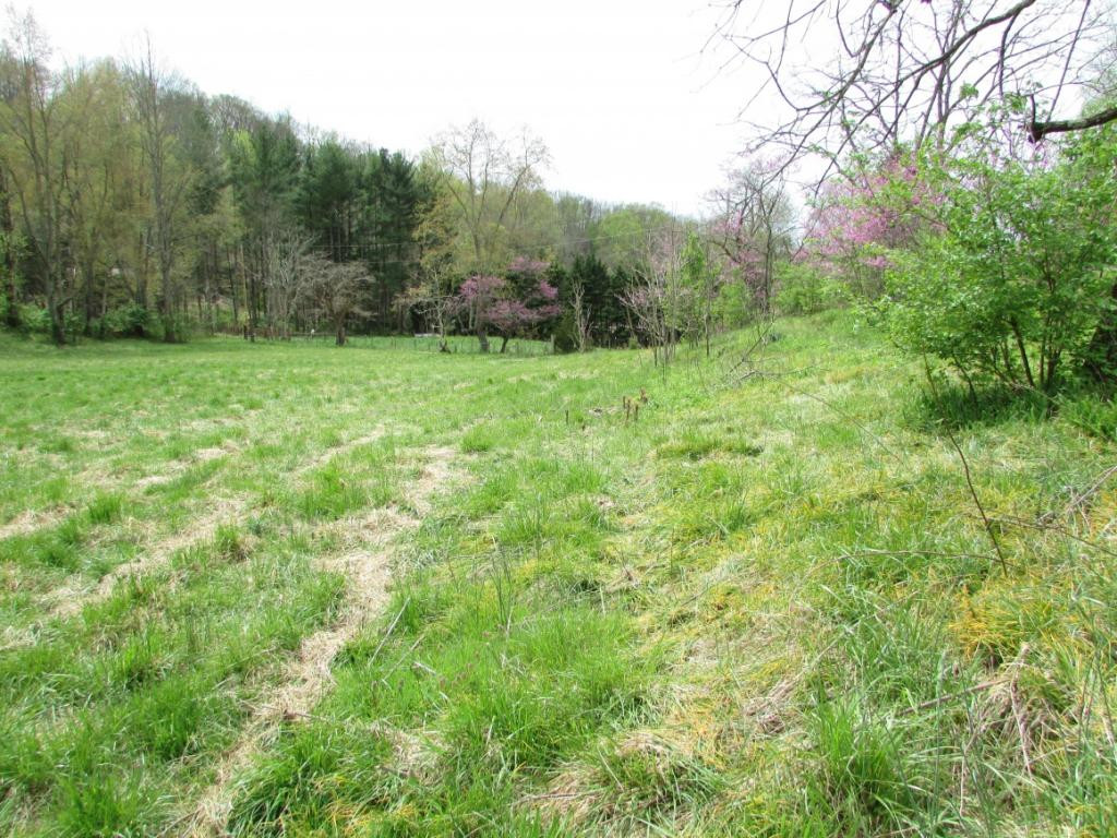 228 Short Coal Chute Road Elizabethton, TN 37643 - Photo 13 of 16 Photo 13