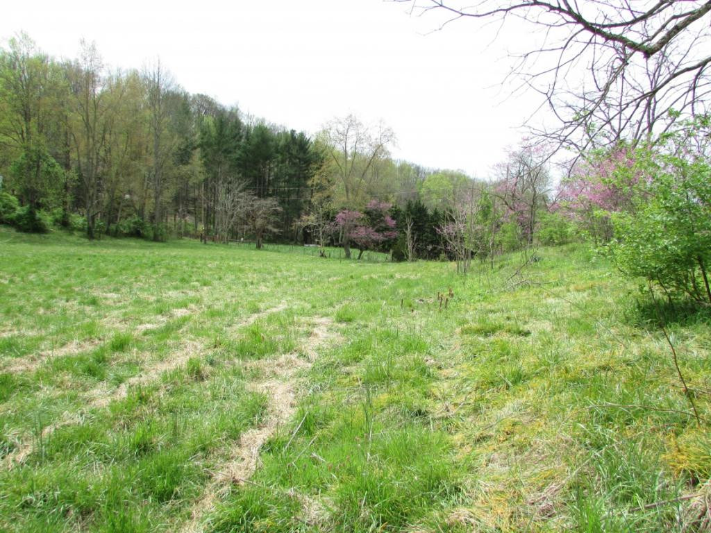 228 Short Coal Chute Road Elizabethton, TN 37643 - Photo 14 of 16 Photo 14