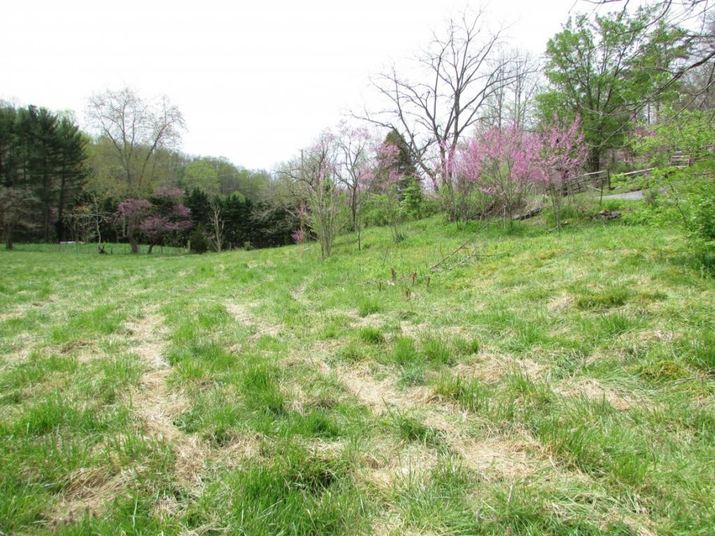 228 Short Coal Chute Road Elizabethton, TN 37643 - Photo 15 of 16 Photo 15