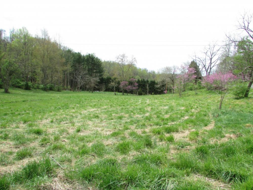 228 Short Coal Chute Road Elizabethton, TN 37643 - Photo 16 of 16 Photo 16