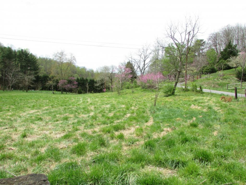 228 Short Coal Chute Road Elizabethton, TN 37643 - Photo 2 of 16 Photo 2