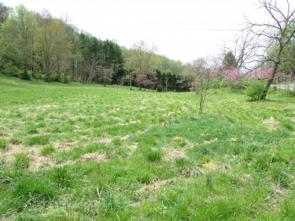 228 Short Coal Chute Road Elizabethton, TN 37643 - Photo 3 of 16 Photo 3