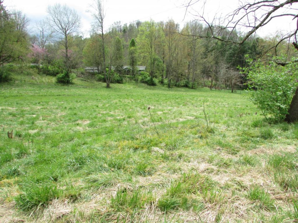 228 Short Coal Chute Road Elizabethton, TN 37643 - Photo 4 of 16 Photo 4