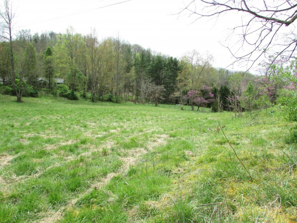228 Short Coal Chute Road Elizabethton, TN 37643 - Photo 5 of 16 Photo 5
