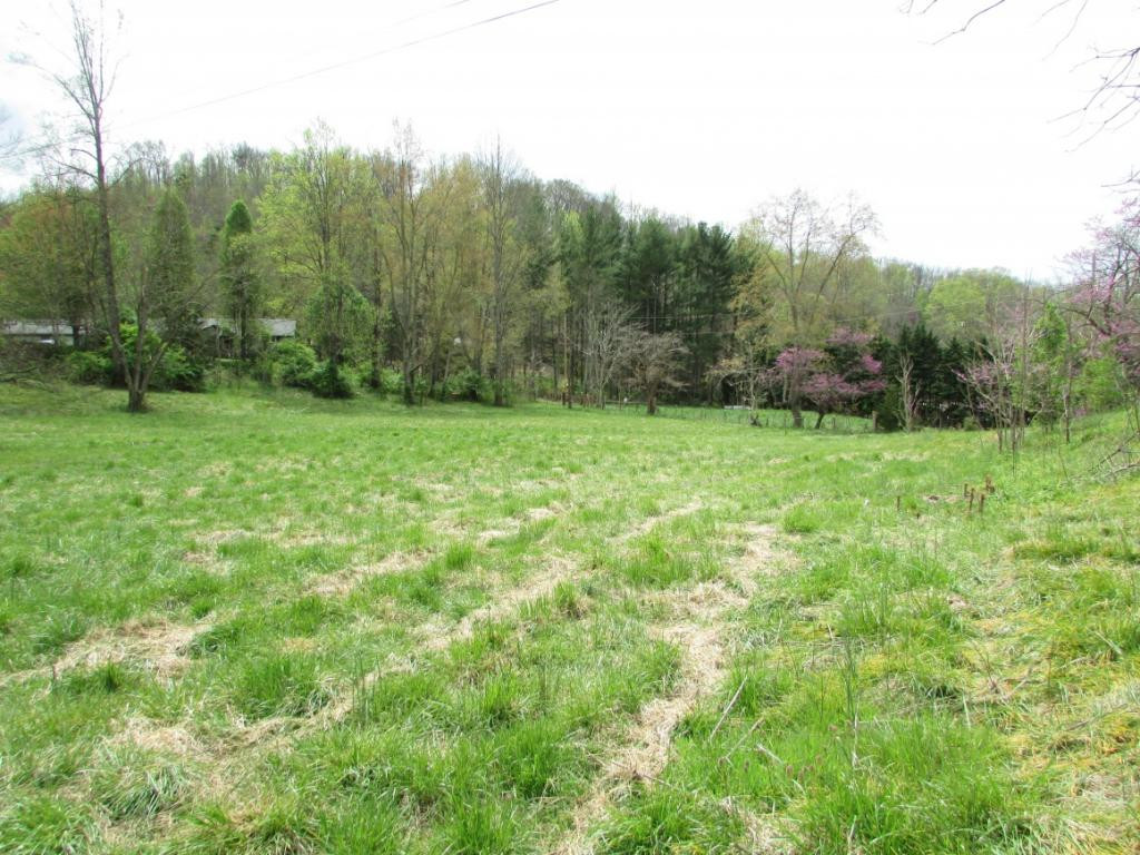 228 Short Coal Chute Road Elizabethton, TN 37643 - Photo 6 of 16 Photo 6