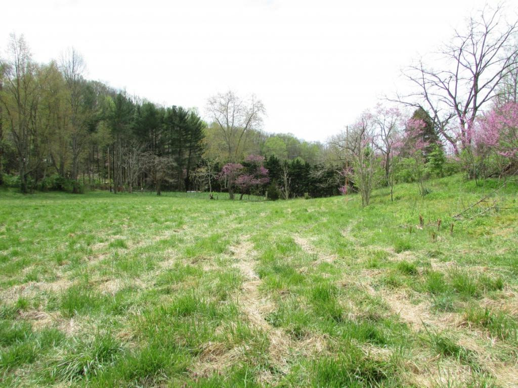 228 Short Coal Chute Road Elizabethton, TN 37643 - Photo 7 of 16 Photo 7