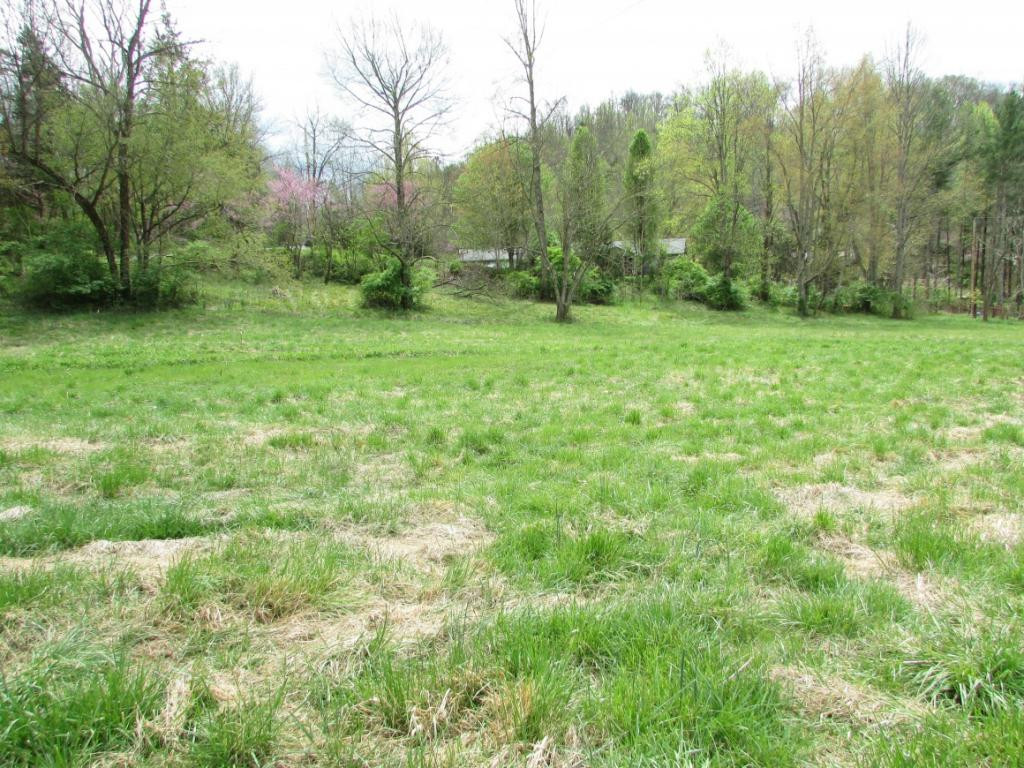 228 Short Coal Chute Road Elizabethton, TN 37643 - Photo 8 of 16 Photo 8