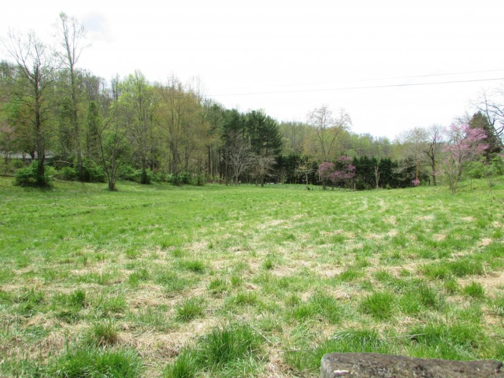 228 Short Coal Chute Road Elizabethton, TN 37643 - Photo 9 of 16 Photo 9